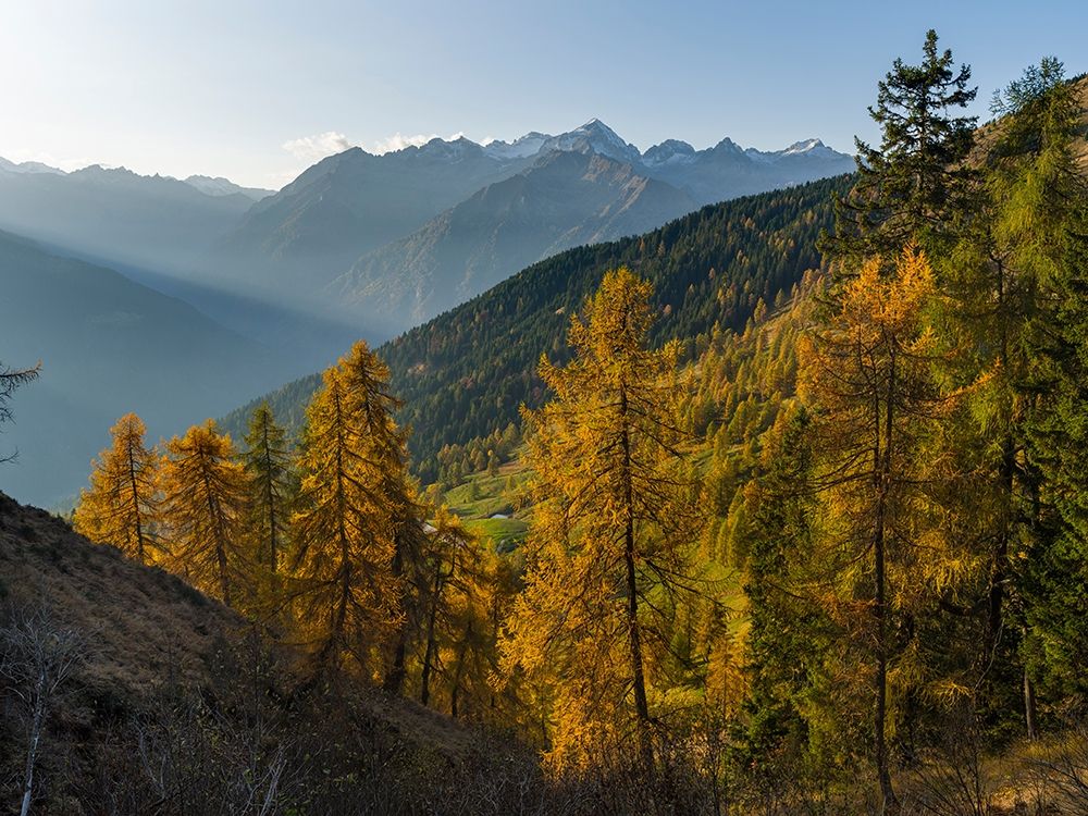 Peaks of Presanella mountain range above Val Rendena-seen from Brenta mountain range Italy